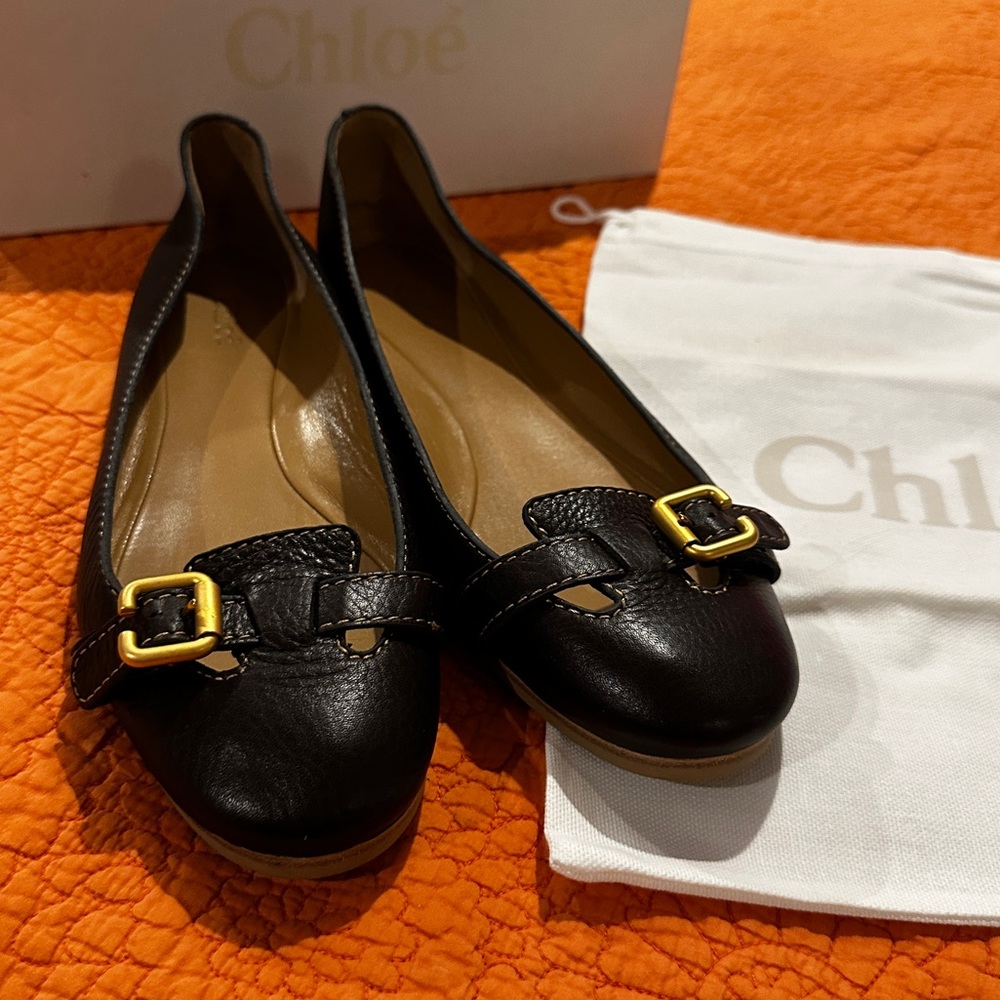 Chloe Ballet Flats - Picture 4 of 10